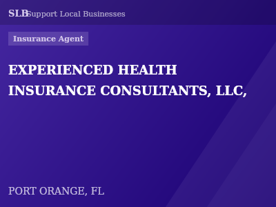 EXPERIENCED HEALTH INSURANCE CONSULTANTS, LLC, — Insurance Agent in PORT ORANGE, FL