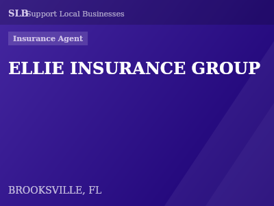 ELLIE INSURANCE GROUP — Insurance Agent in BROOKSVILLE, FL