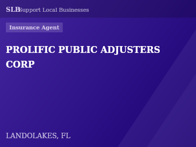 PROLIFIC PUBLIC ADJUSTERS CORP — Insurance Agent in LANDOLAKES, FL
