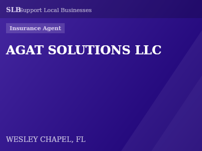 AGAT SOLUTIONS LLC — Insurance Agent in WESLEY CHAPEL, FL