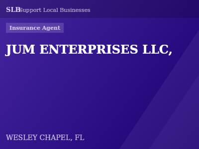 JUM ENTERPRISES LLC, — Insurance Agent in WESLEY CHAPEL, FL