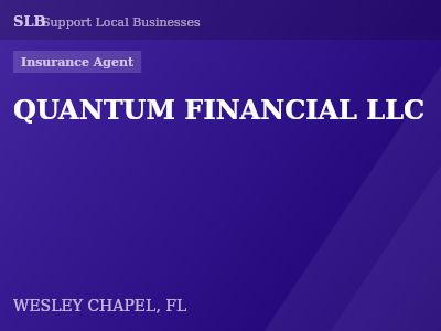 QUANTUM FINANCIAL LLC — Insurance Agent in WESLEY CHAPEL, FL