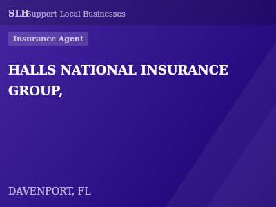 HALLS NATIONAL INSURANCE GROUP, — Insurance Agent in DAVENPORT, FL