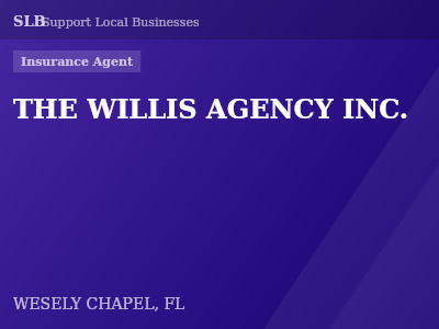 THE WILLIS AGENCY INC. — Insurance Agent in WESELY CHAPEL, FL