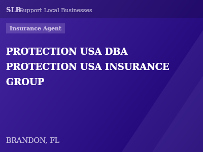 PROTECTION USA DBA PROTECTION USA INSURANCE GROUP — Insurance Agent in BRANDON, FL