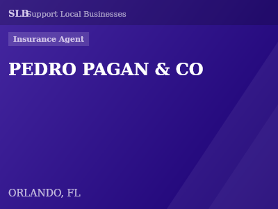 PEDRO PAGAN & CO — Insurance Agent in ORLANDO, FL