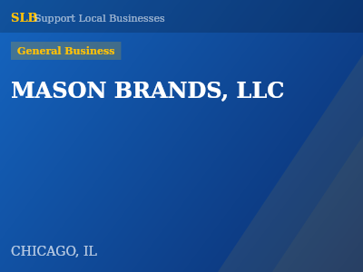 MASON BRANDS, LLC — General Business in CHICAGO, IL
