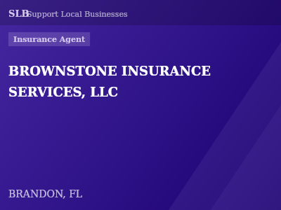 BROWNSTONE INSURANCE SERVICES, LLC — Insurance Agent in BRANDON, FL