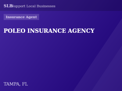 POLEO INSURANCE AGENCY — Insurance Agent in TAMPA, FL