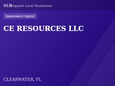 CE RESOURCES LLC — Insurance Agent in CLEARWATER, FL