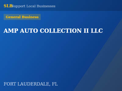 AMP AUTO COLLECTION II LLC — General Business in FORT LAUDERDALE, FL