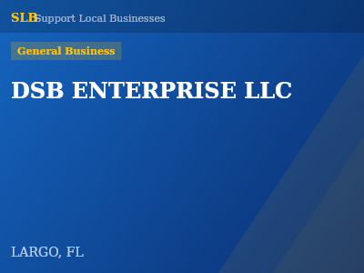 DSB ENTERPRISE LLC — General Business in LARGO, FL