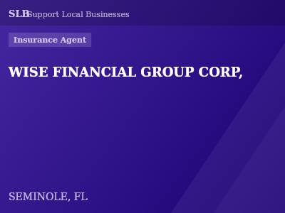 WISE FINANCIAL GROUP CORP, — Insurance Agent in SEMINOLE, FL