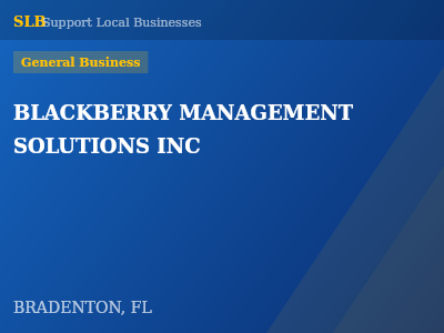 BLACKBERRY MANAGEMENT SOLUTIONS INC — General Business in BRADENTON, FL