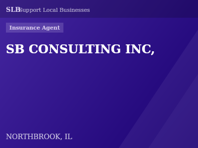 SB CONSULTING INC, — Insurance Agent in NORTHBROOK, IL
