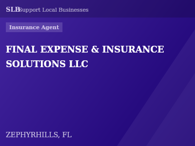 FINAL EXPENSE & INSURANCE SOLUTIONS LLC — Insurance Agent in ZEPHYRHILLS, FL