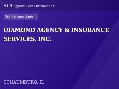 DIAMOND AGENCY & INSURANCE SERVICES, INC. — Insurance Agent in SCHAUMBURG, IL