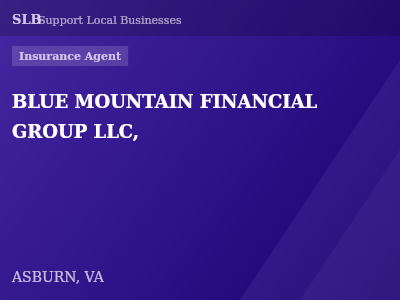 BLUE MOUNTAIN FINANCIAL GROUP LLC, — Insurance Agent in ASBURN, VA