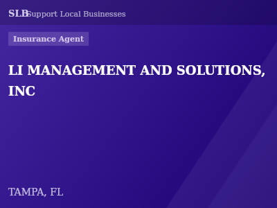 LI MANAGEMENT AND SOLUTIONS, INC — Insurance Agent in TAMPA, FL
