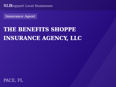 THE BENEFITS SHOPPE INSURANCE AGENCY, LLC — Insurance Agent in PACE, FL