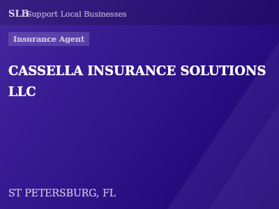 CASSELLA INSURANCE SOLUTIONS LLC — Insurance Agent in ST PETERSBURG, FL