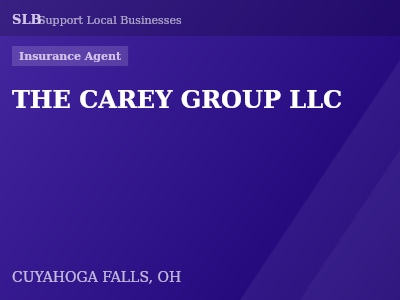 THE CAREY GROUP LLC — Insurance Agent in CUYAHOGA FALLS, OH
