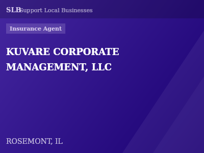 KUVARE CORPORATE MANAGEMENT, LLC — Insurance Agent in ROSEMONT, IL