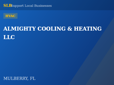 ALMIGHTY COOLING & HEATING LLC — HVAC in MULBERRY, FL