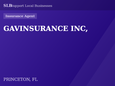 GAVINSURANCE INC, — Insurance Agent in PRINCETON, FL