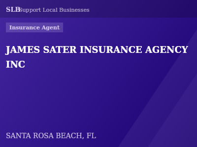 JAMES SATER INSURANCE AGENCY INC — Insurance Agent in SANTA ROSA BEACH, FL