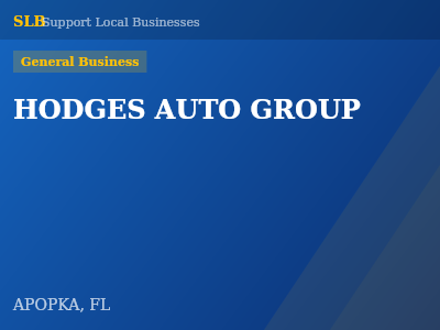 HODGES AUTO GROUP — General Business in APOPKA, FL