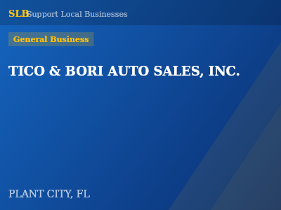TICO & BORI AUTO SALES, INC. — General Business in PLANT CITY, FL