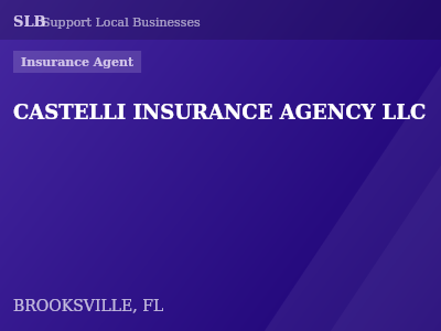 CASTELLI INSURANCE AGENCY LLC — Insurance Agent in BROOKSVILLE, FL