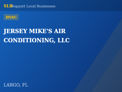 JERSEY MIKE'S AIR CONDITIONING, LLC — HVAC in LARGO, FL