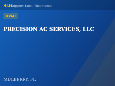 PRECISION AC SERVICES, LLC — HVAC in MULBERRY, FL