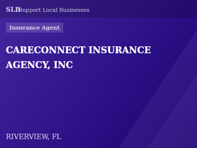 CARECONNECT INSURANCE AGENCY, INC — Insurance Agent in RIVERVIEW, FL