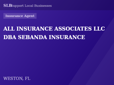 ALL INSURANCE ASSOCIATES LLC DBA SEBANDA INSURANCE — Insurance Agent in WESTON, FL