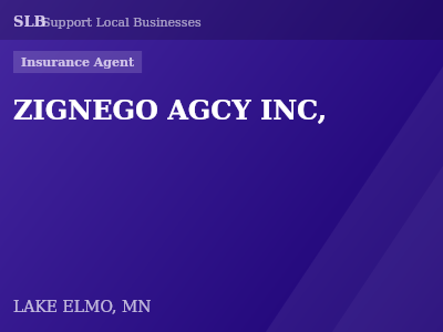 ZIGNEGO AGCY INC, — Insurance Agent in LAKE ELMO, MN