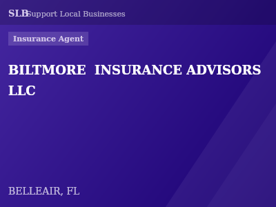 BILTMORE  INSURANCE ADVISORS LLC — Insurance Agent in BELLEAIR, FL