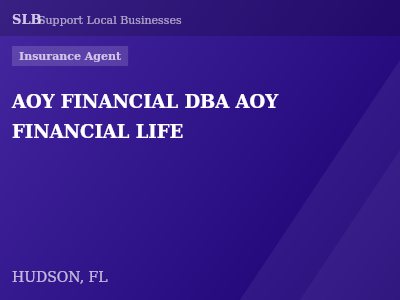 AOY FINANCIAL DBA AOY FINANCIAL LIFE — Insurance Agent in HUDSON, FL