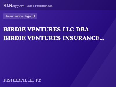 BIRDIE VENTURES LLC DBA BIRDIE VENTURES INSURANCE AGENCY — Insurance Agent in FISHERVILLE, KY
