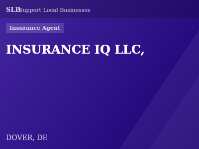 INSURANCE IQ LLC, — Insurance Agent in DOVER, DE