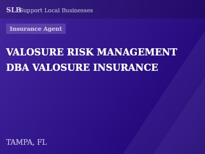 VALOSURE RISK MANAGEMENT DBA VALOSURE INSURANCE — Insurance Agent in TAMPA, FL