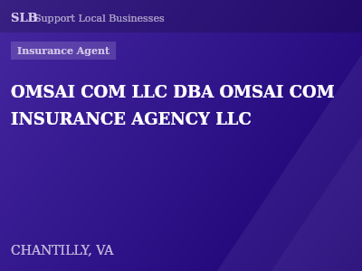 OMSAI COM LLC DBA OMSAI COM INSURANCE AGENCY LLC — Insurance Agent in CHANTILLY, VA