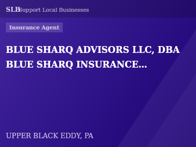 BLUE SHARQ ADVISORS LLC, DBA BLUE SHARQ INSURANCE SERVICES — Insurance Agent in UPPER BLACK EDDY, PA