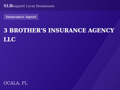 3 BROTHER'S INSURANCE AGENCY LLC — Insurance Agent in OCALA, FL