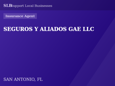SEGUROS Y ALIADOS GAE LLC — Insurance Agent in SAN ANTONIO, FL