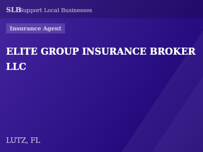 ELITE GROUP INSURANCE BROKER LLC — Insurance Agent in LUTZ, FL