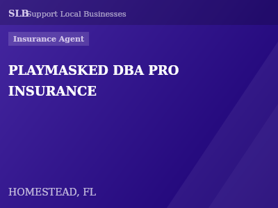 PLAYMASKED DBA PRO INSURANCE — Insurance Agent in HOMESTEAD, FL