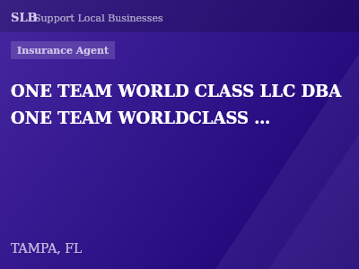 ONE TEAM WORLD CLASS LLC DBA ONE TEAM WORLDCLASS INSURANCE LLC — Insurance Agent in TAMPA, FL